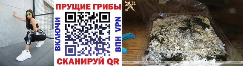 цена наркотик  Полтавская  Галлюциногенные грибы прущие грибы 